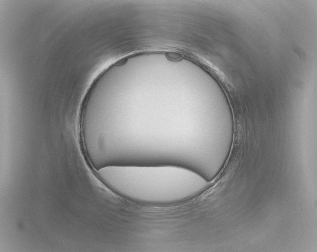 X0000116861471200912220933
