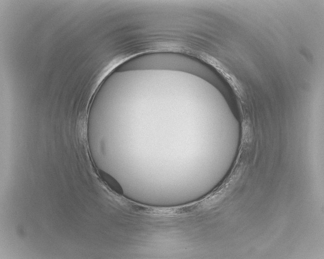 X0000116861473200912220933