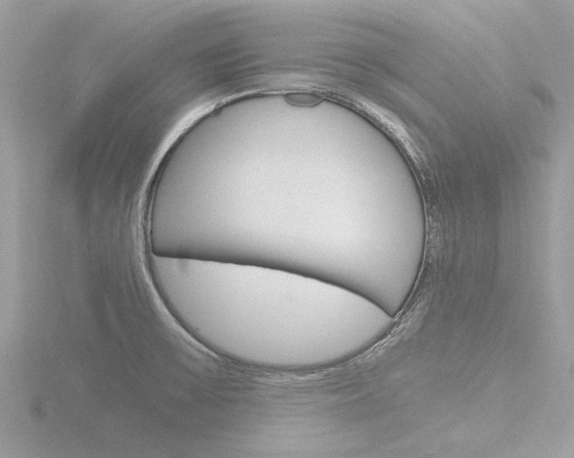 X0000116861475200912220933