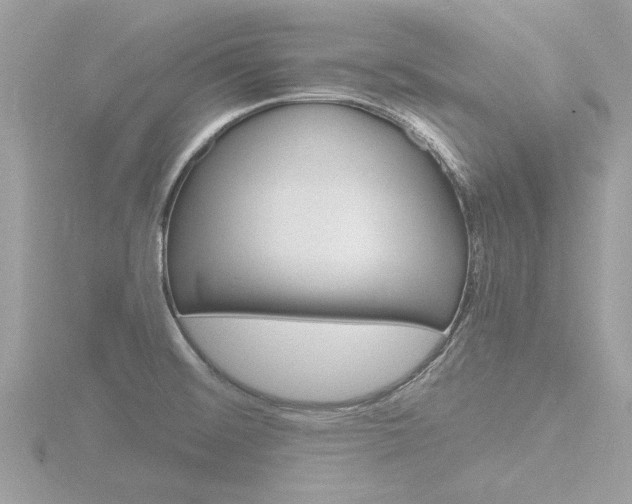 X0000116861476200912220933