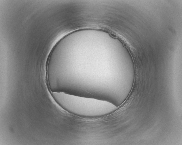 X0000116861479200912220933