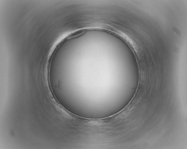 X0000116861480200912220933