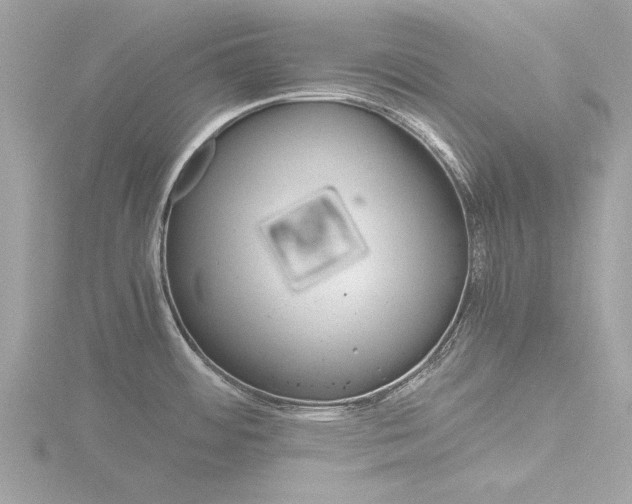 X0000116861484200912220932