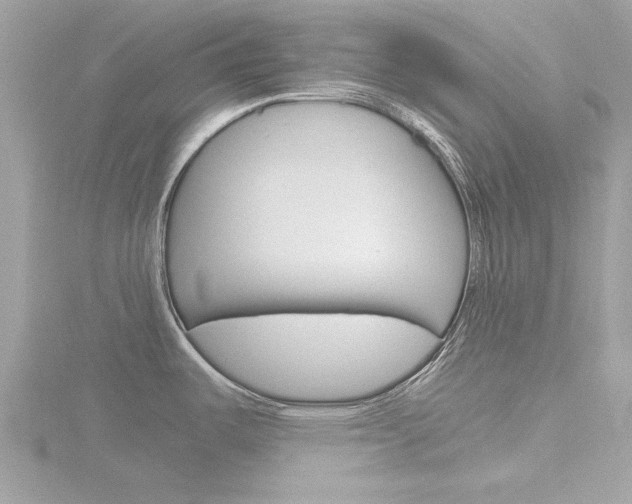 X0000116861487200912220932
