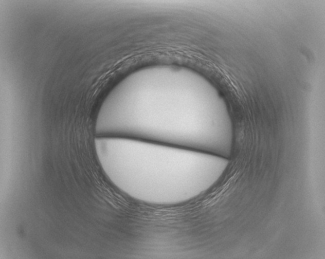 X0000116861490200912220932