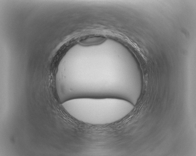 X0000116861495200912220932