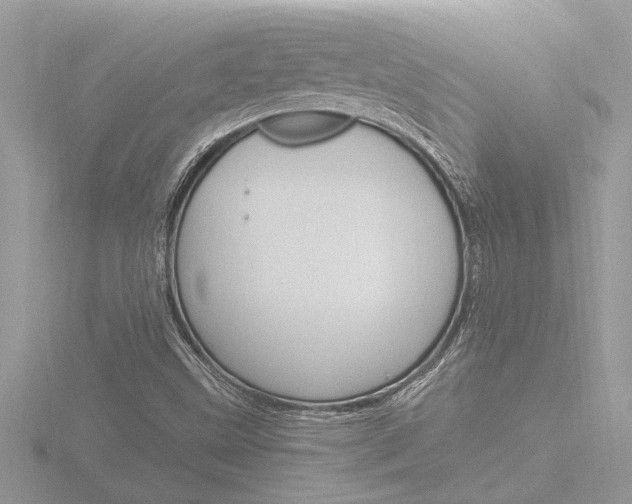 X0000116861499200912220932