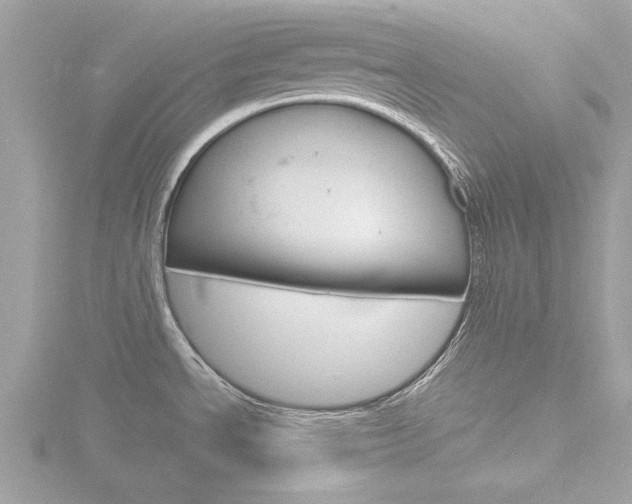 X0000116861534200912220932