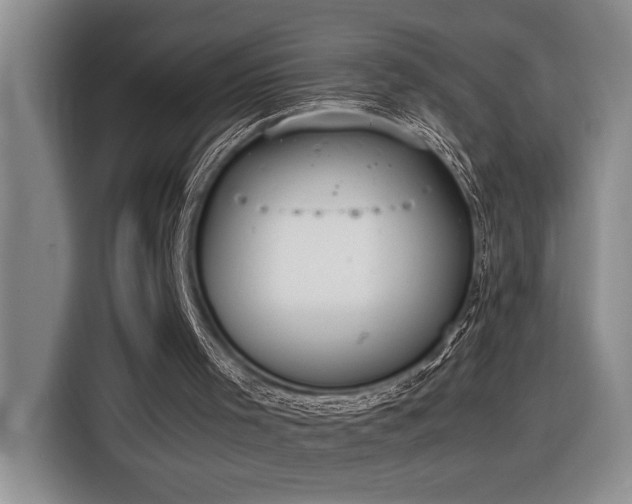 X0000116860001200912221148