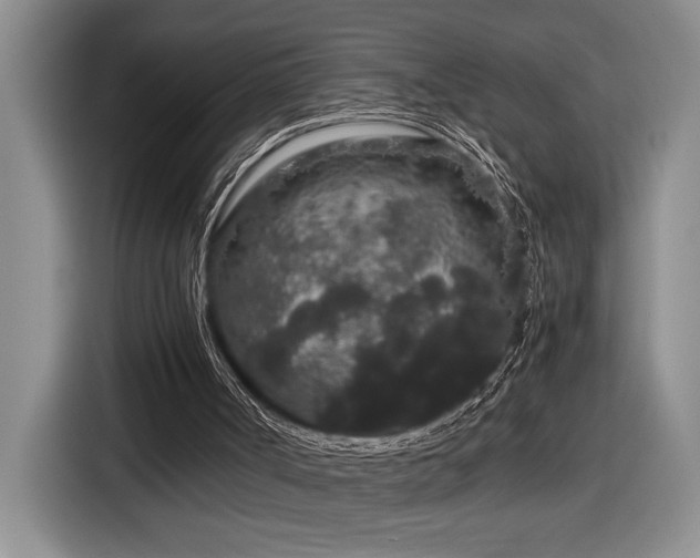 X0000116860002200912221148