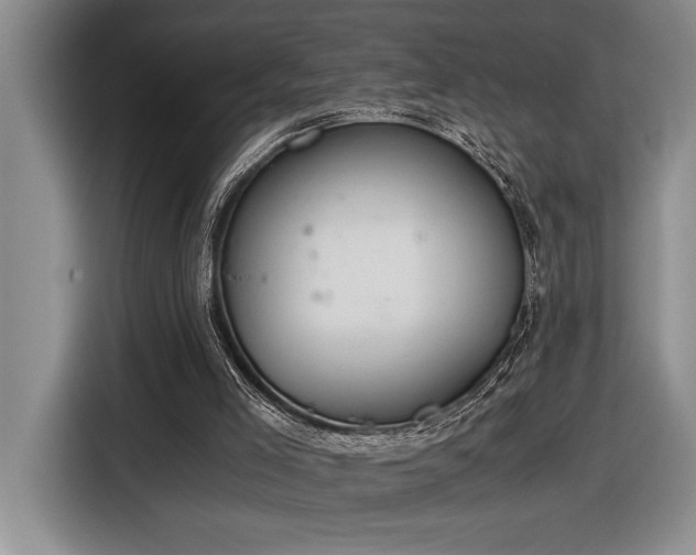 X0000116860005200912221148