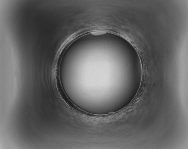 X0000116860007200912221148