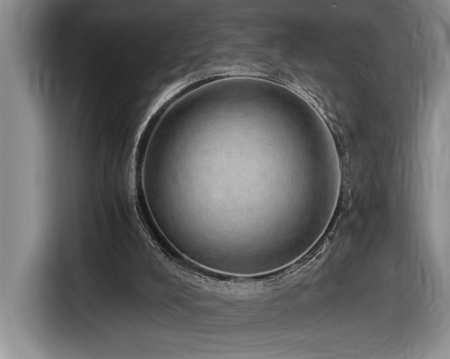 X0000116860008200912221148