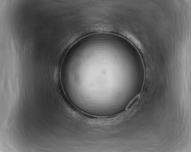 X0000116860009200912221148