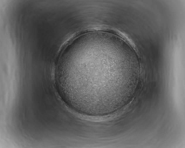X0000116860010200912221147