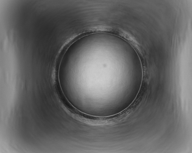 X0000116860012200912221147