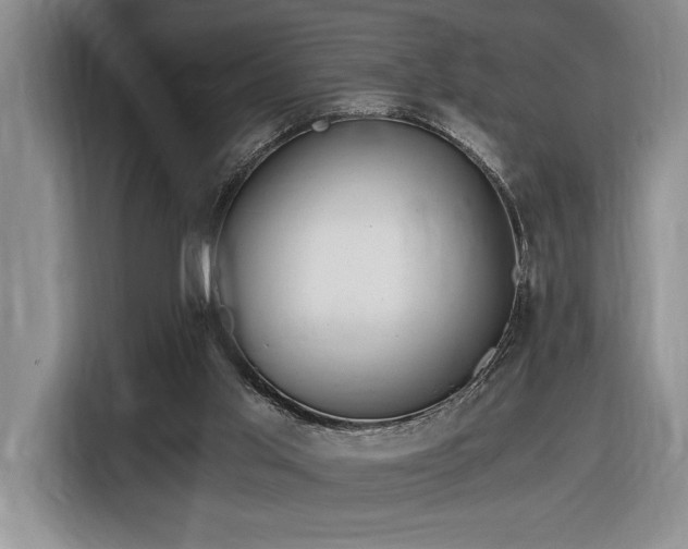 X0000116860013200912221147
