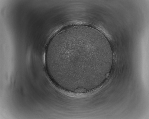 X0000116860014200912221147
