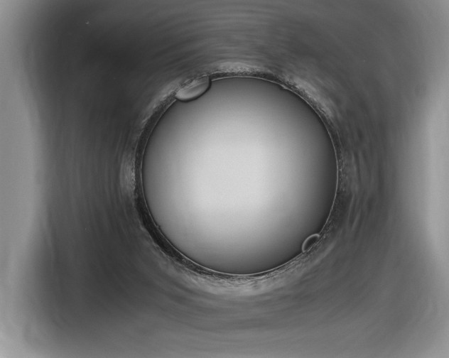 X0000116860015200912221147