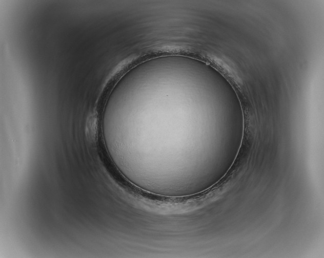 X0000116860016200912221147