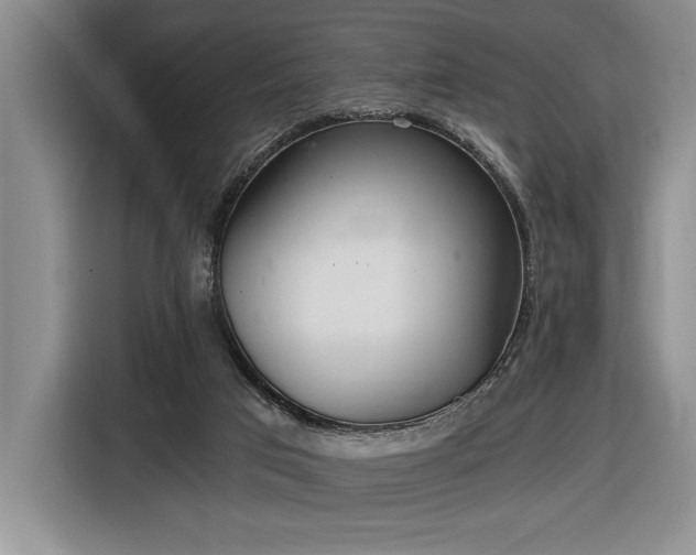 X0000116860017200912221147