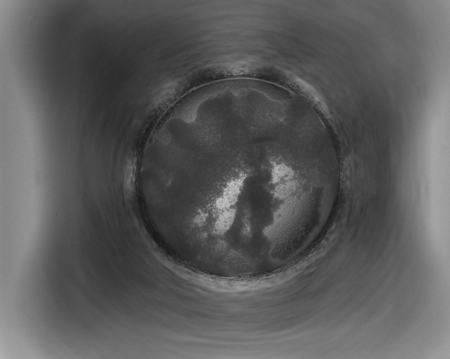 X0000116860018200912221147