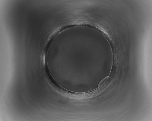 X0000116860019200912221147