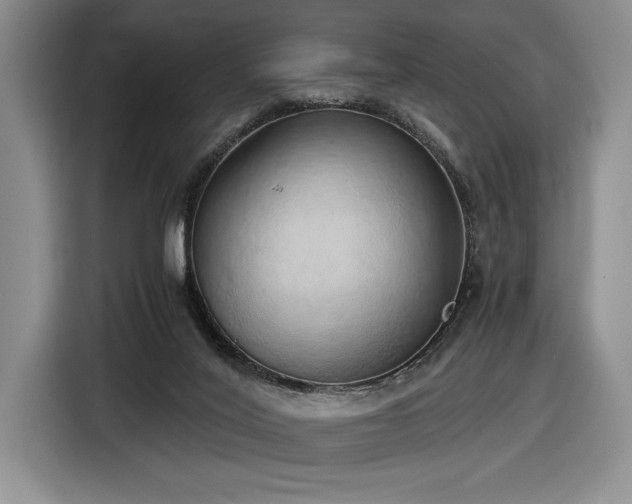 X0000116860020200912221147