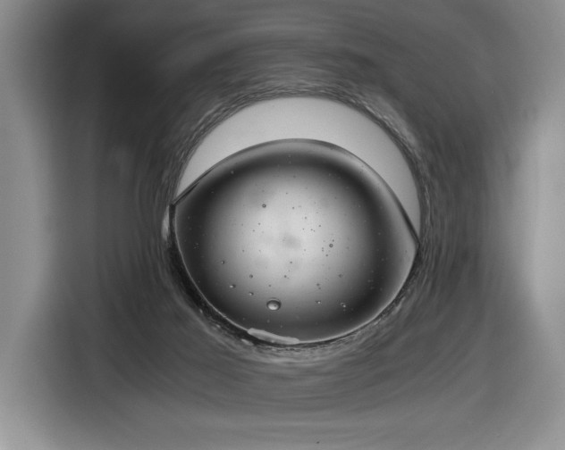X0000116860021200912221147
