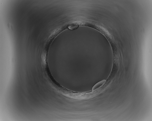 X0000116860023200912221147