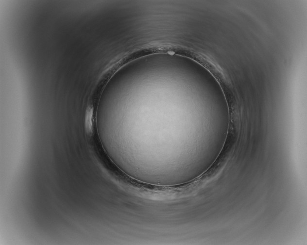 X0000116860024200912221147