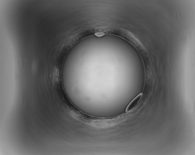 X0000116860025200912221147