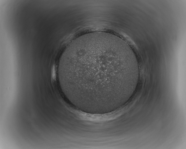X0000116860026200912221147