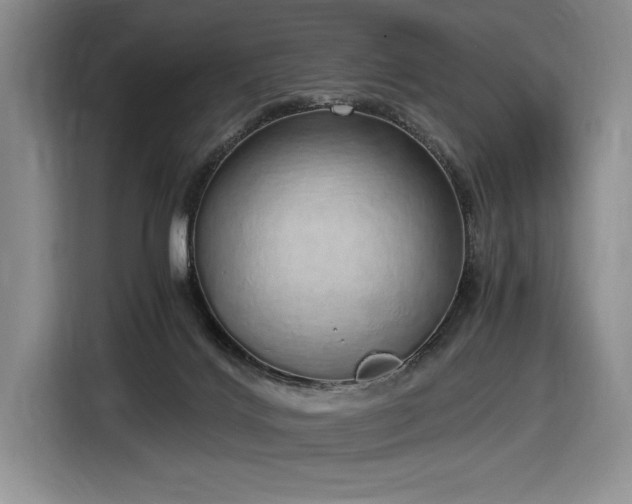 X0000116860028200912221147