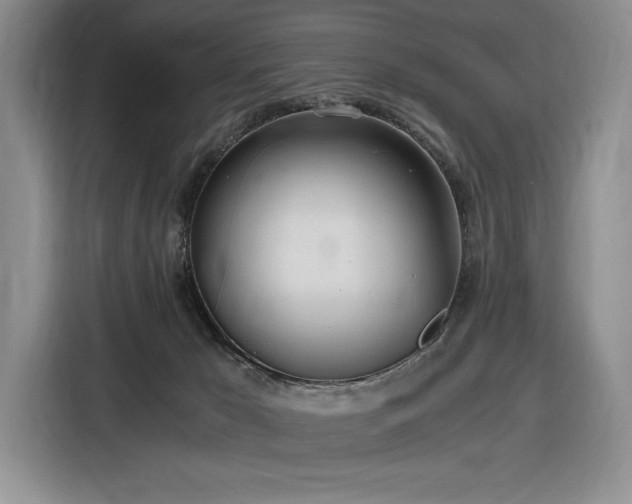 X0000116860029200912221147