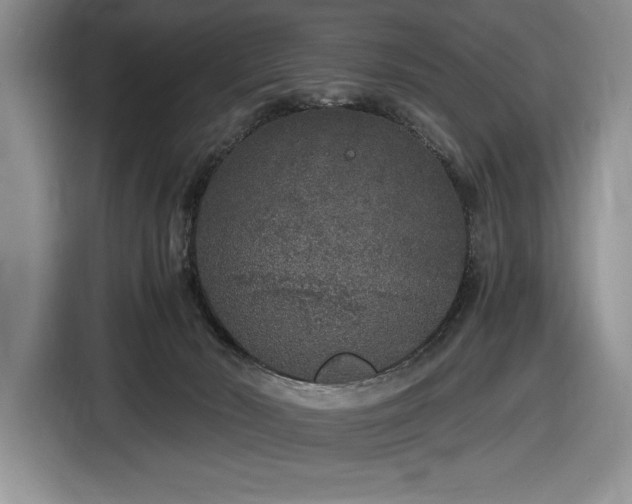 X0000116860030200912221147