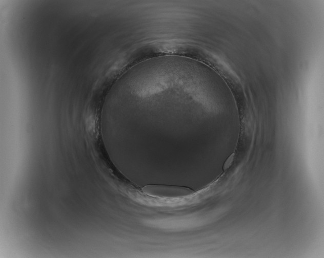 X0000116860031200912221147