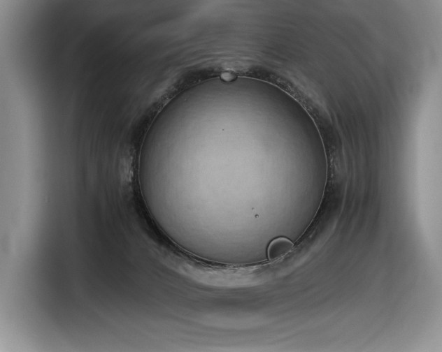 X0000116860032200912221147