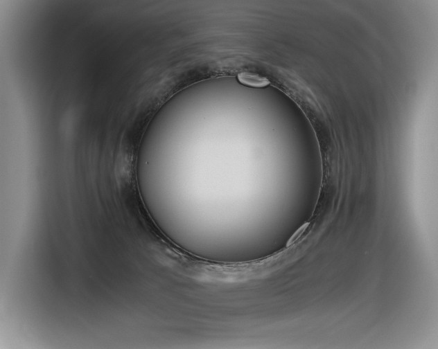 X0000116860033200912221147