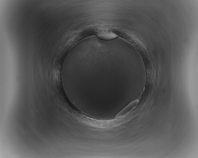 X0000116860035200912221147