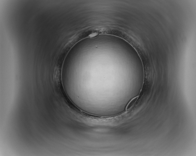 X0000116860036200912221147