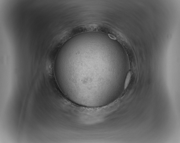 X0000116860037200912221147