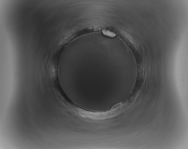 X0000116860039200912221147