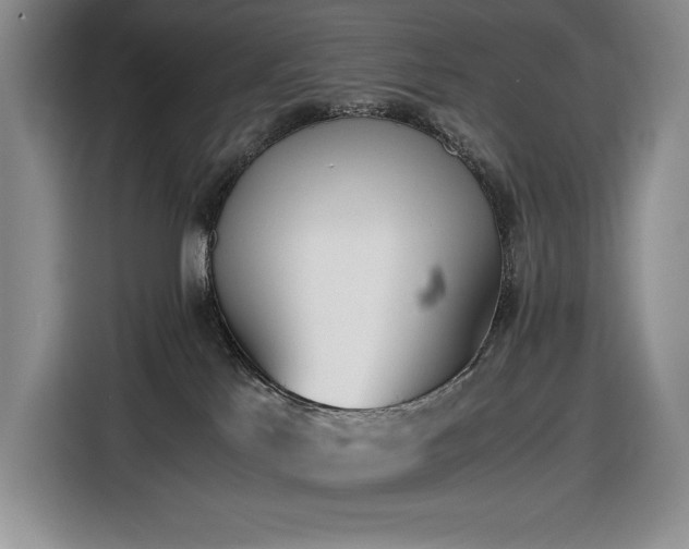 X0000116860041200912221147
