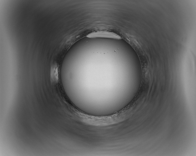 X0000116860042200912221147