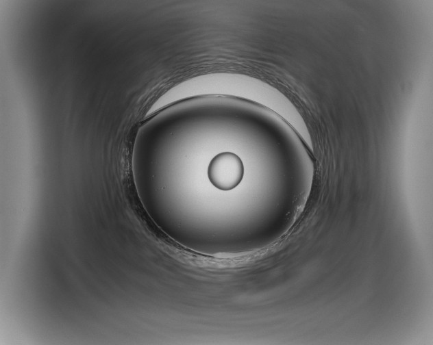 X0000116860043200912221147