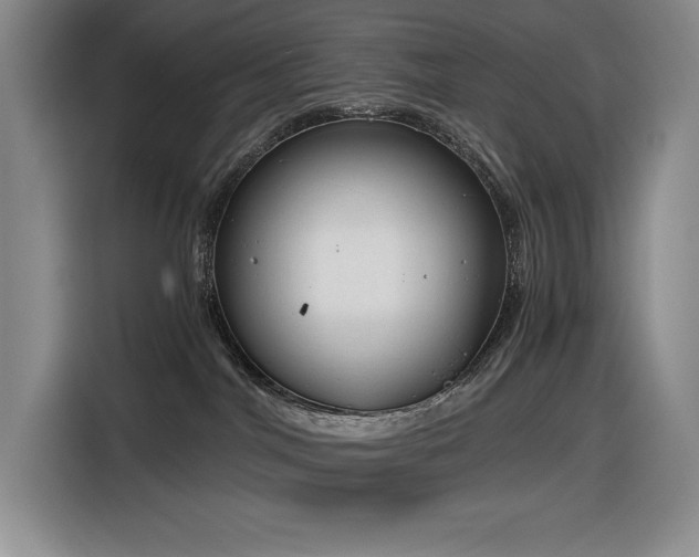 X0000116860044200912221147