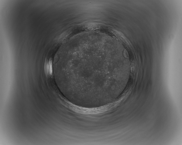 X0000116860046200912221147