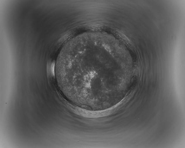 X0000116860047200912221147