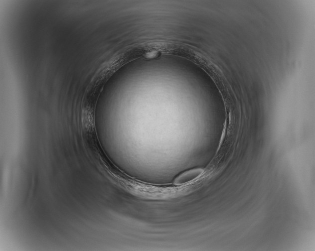 X0000116860048200912221147